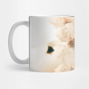 White Cherry Blossom Mug